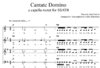 Karl Jenkins - Cantate Domino SSATB