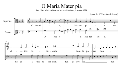 Ignoto (attrib. Lasso) - O Maria, Mater pia a due voci, sec XVI